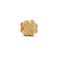 Charm Pandora Donna in Argento 764047C00 - 764047C00